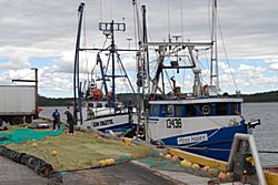 Fischereihafen von Port Saunders