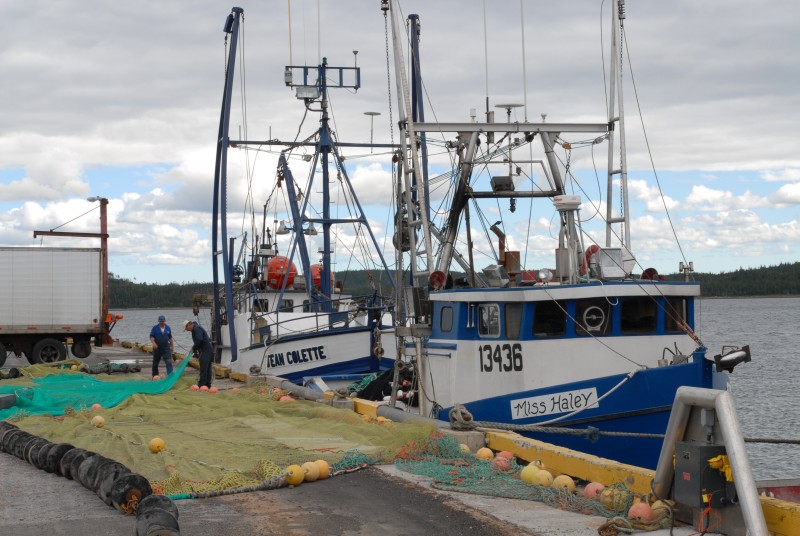 Fischereihafen von Port Saunders