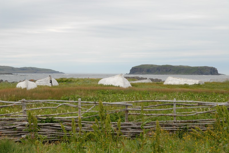 L'Anse aux Meadows