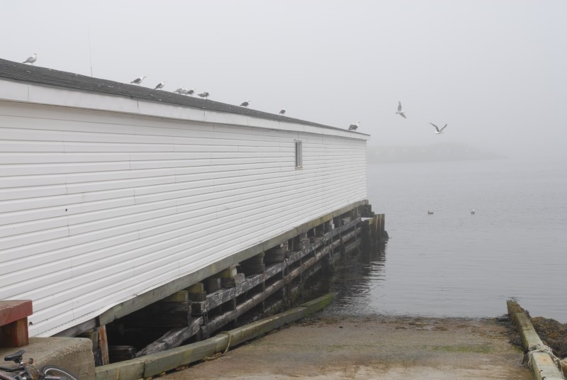 Am Kai in Port aux Basques