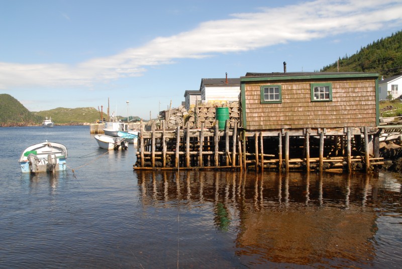 Fischerhütten in Harbour Le Cou