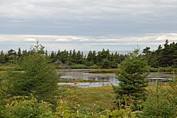 Bei St. Barbe Bay, Blick auf Labrador