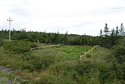 Garten südlich St. Lunaire-Griquet