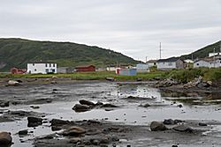 Ebbe bei St. Lunaire-Griquet