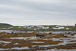 L'Anse aux Meadows