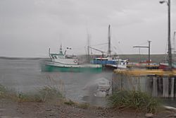 Hafen in Codroy Valley bei Regen